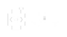 Blitz Pixel Media
